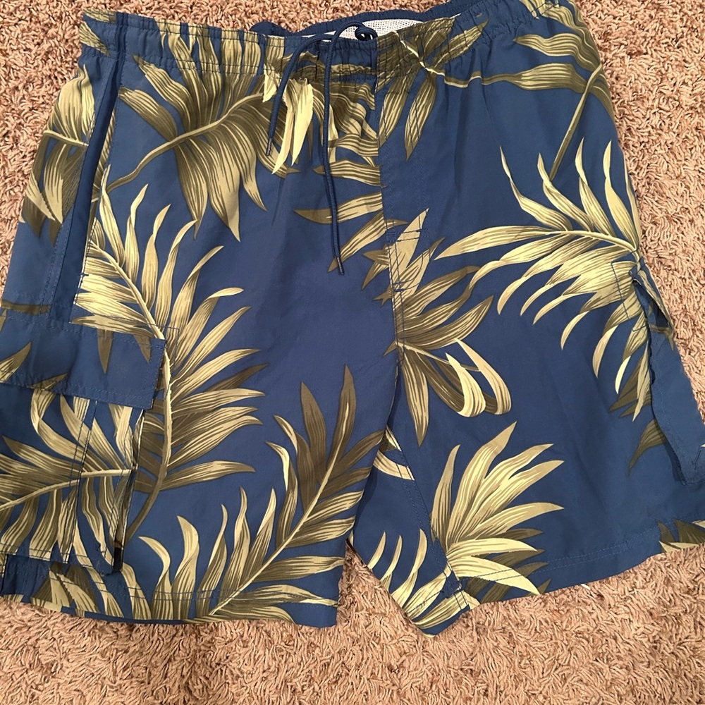 Caribbean Joe men’s swim